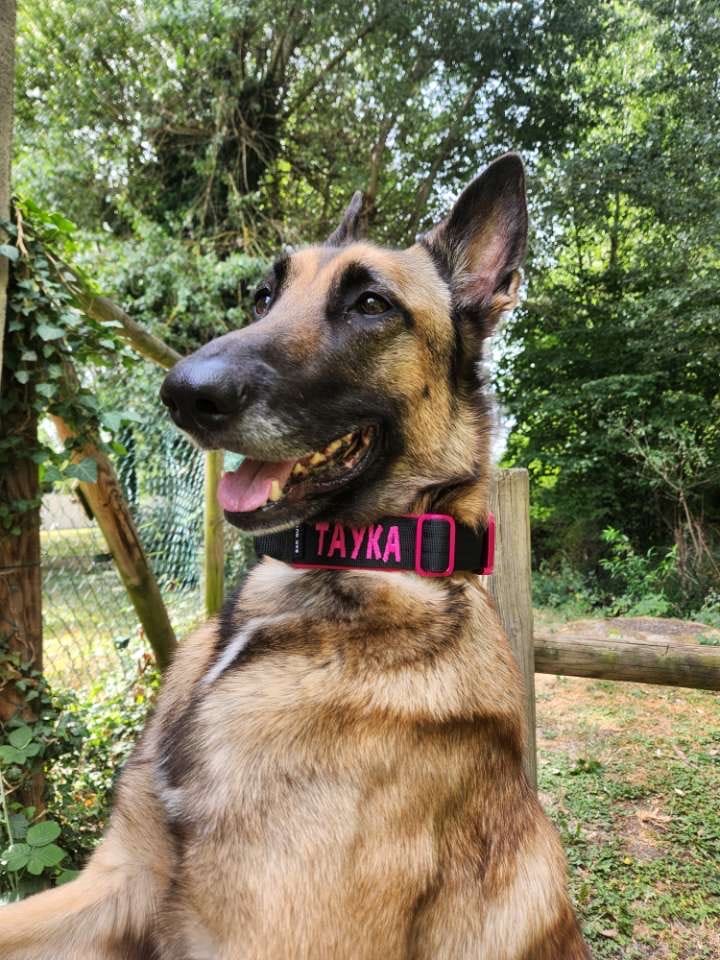 Customer photo review of Collare Crime 3cm