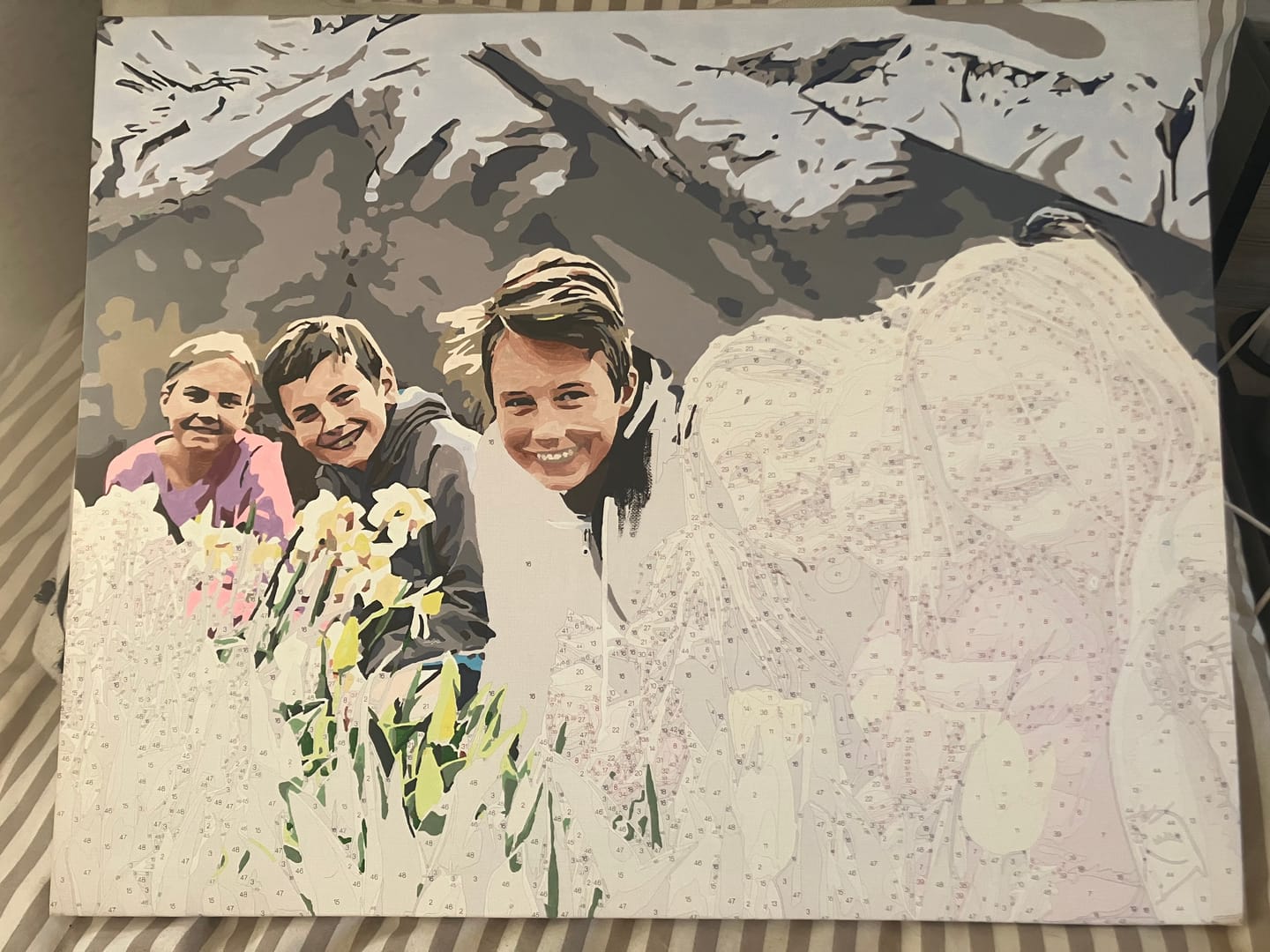 Customer photo review of Custom Paint By Numbers Kit