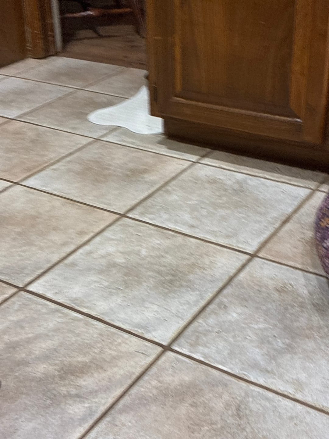 Customer photo review of FREE Grill Brush Bundle