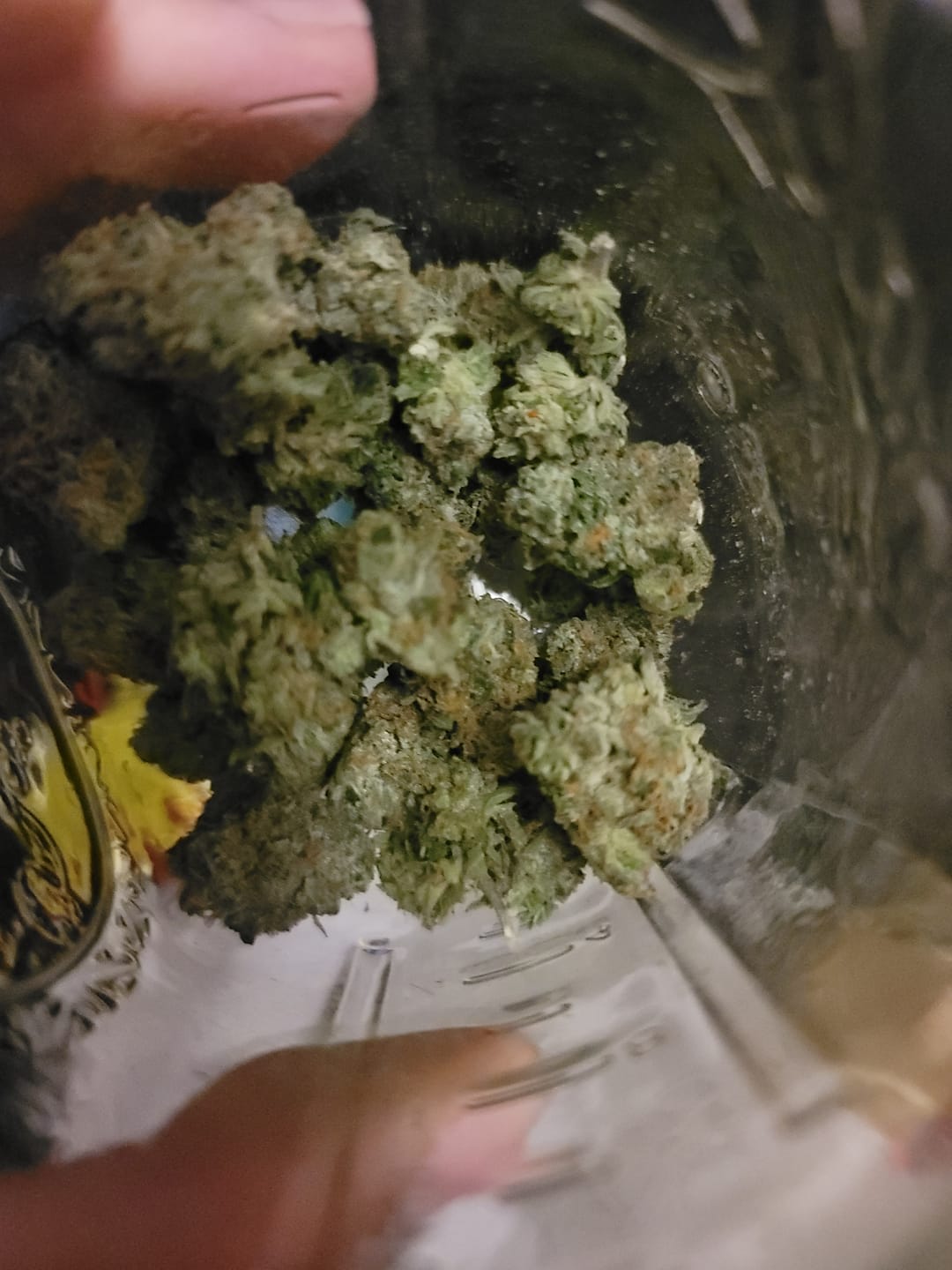 Customer photo review of OG Kush THCA Flower (Budget)