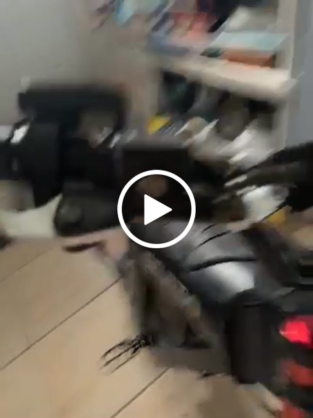 Customer video review of Tuttio Soleil 01 Ultra Bee Brake Clicker