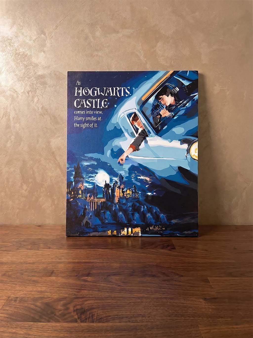 Customer photo review of Harry Potter - Vol de l'Anglia vers Poudlard