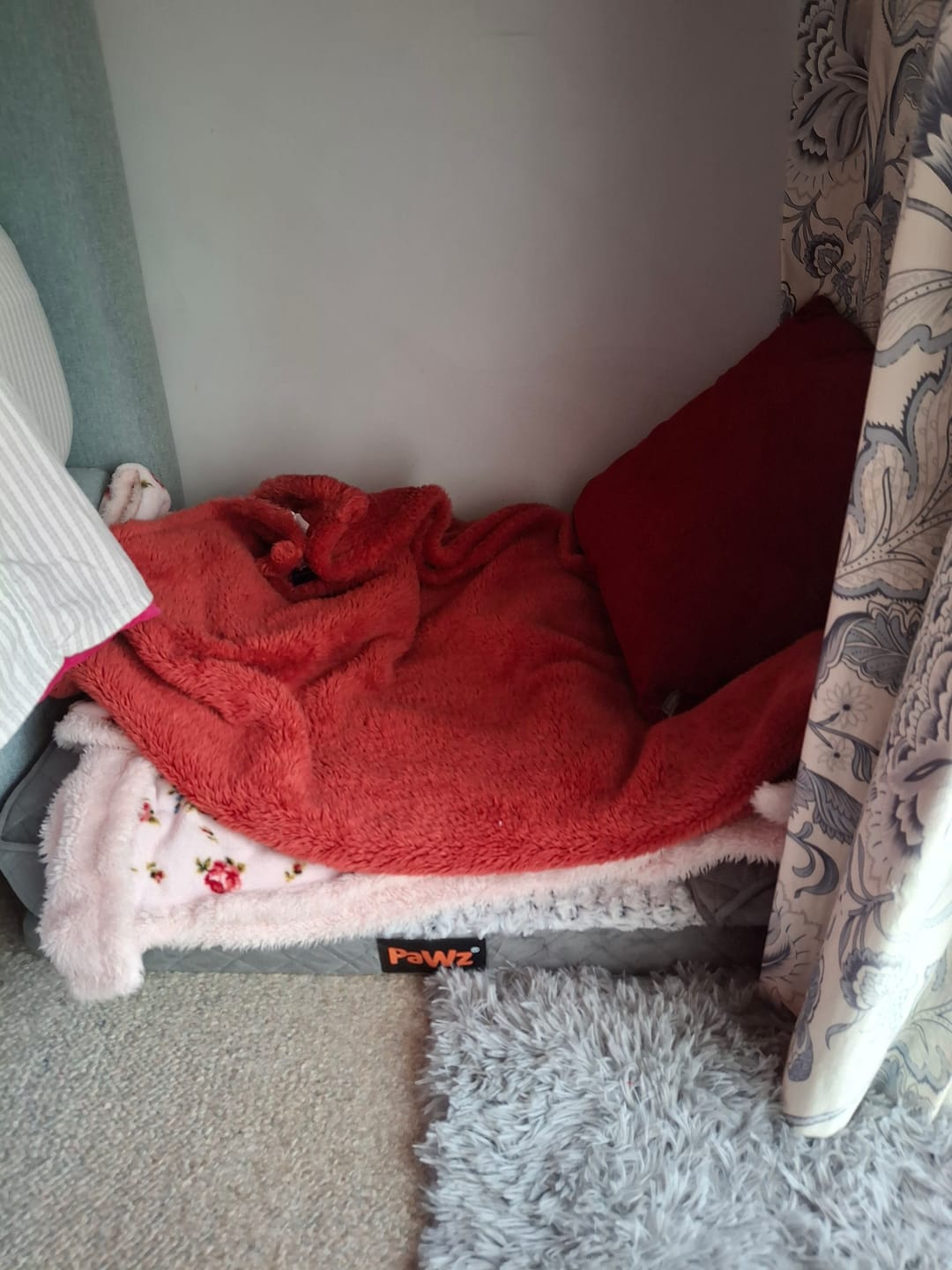 Customer photo review of Orthopedic Memory Foam Dog Bed
