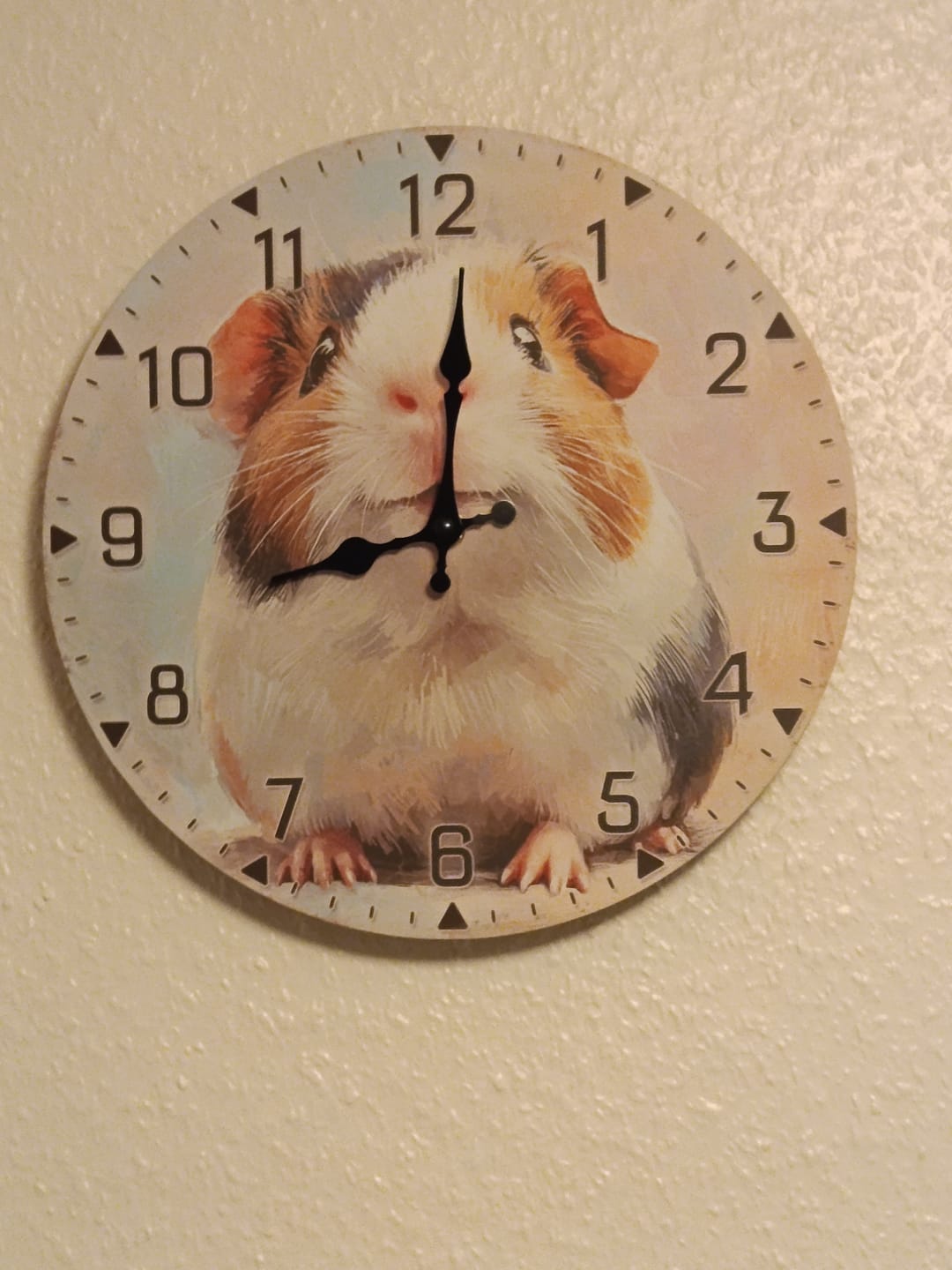 Customer photo review of 🕰️ Wanduhr „Blütenzeit-Meeri“ – Zeitloser Charme mit Meerschweinchen & Blüten