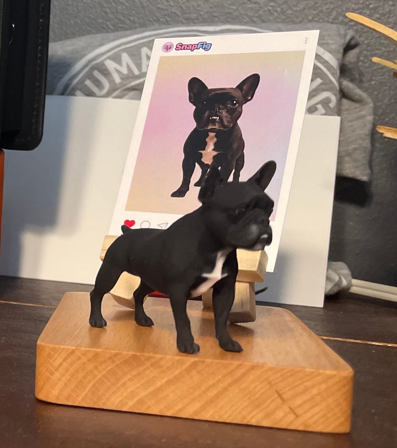 Customer photo review of Custom 3D Pet Figurine - From Your Photo