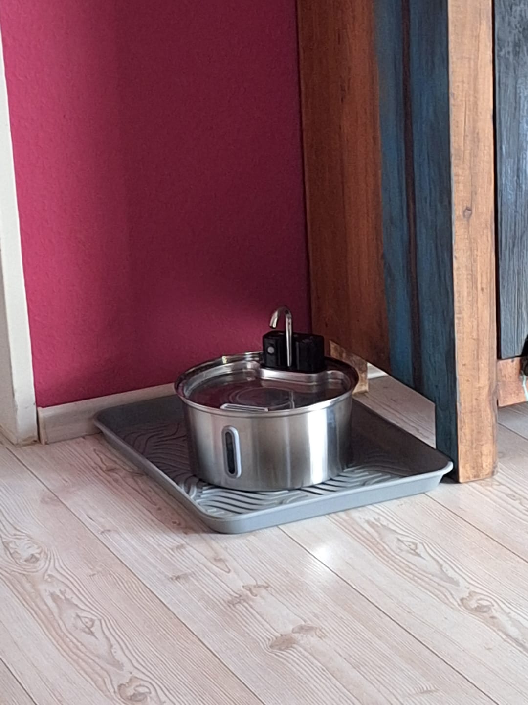 Customer photo review of NordFlow 2.0 Katzenbrunnen