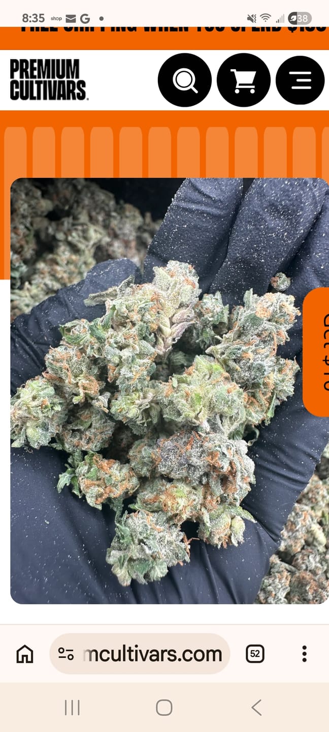 Customer photo review of OG Kush THCA Flower (Budget)