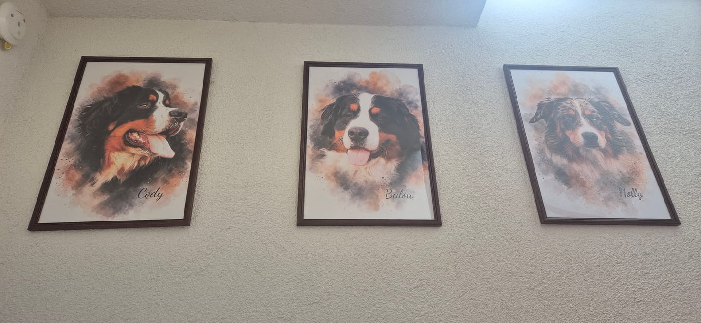 Customer photo review of Dein Haustier als Kunstwerk – mit Live-Vorschau, als Poster oder Leinwand