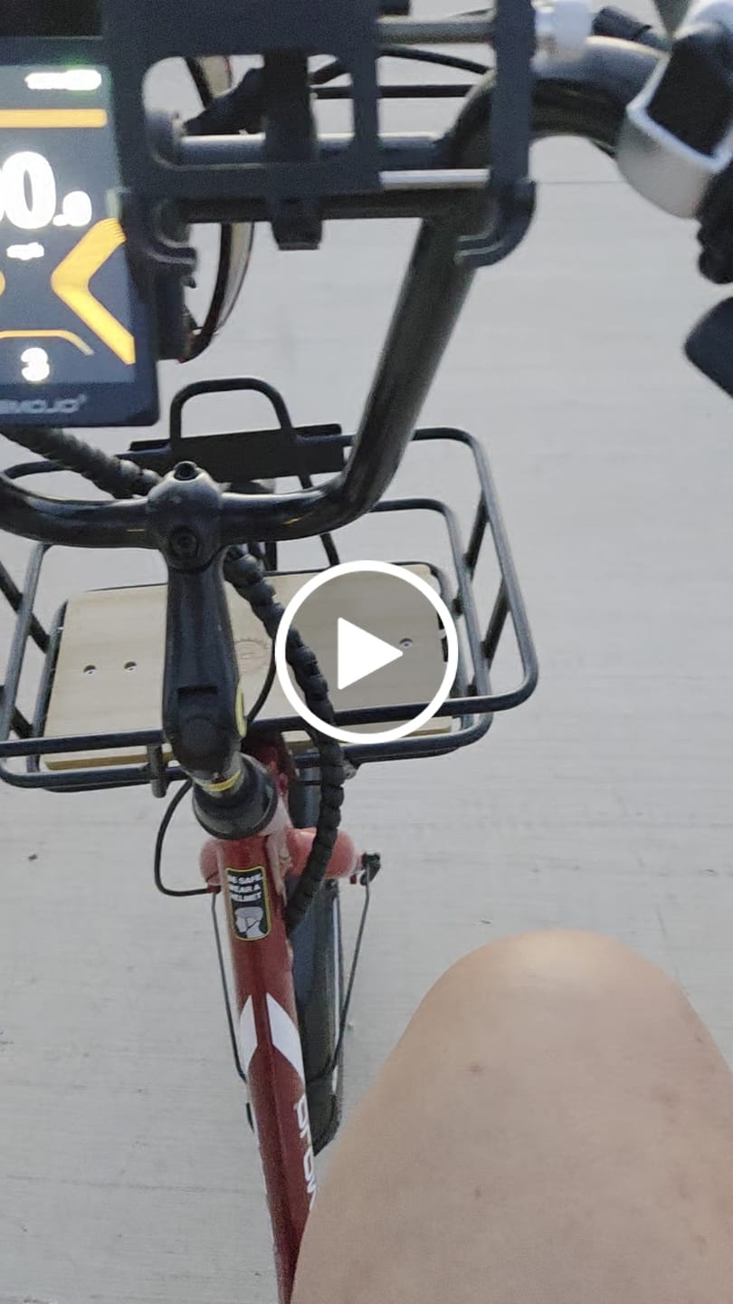 Customer video review of Tulle - Barefoot Shoes