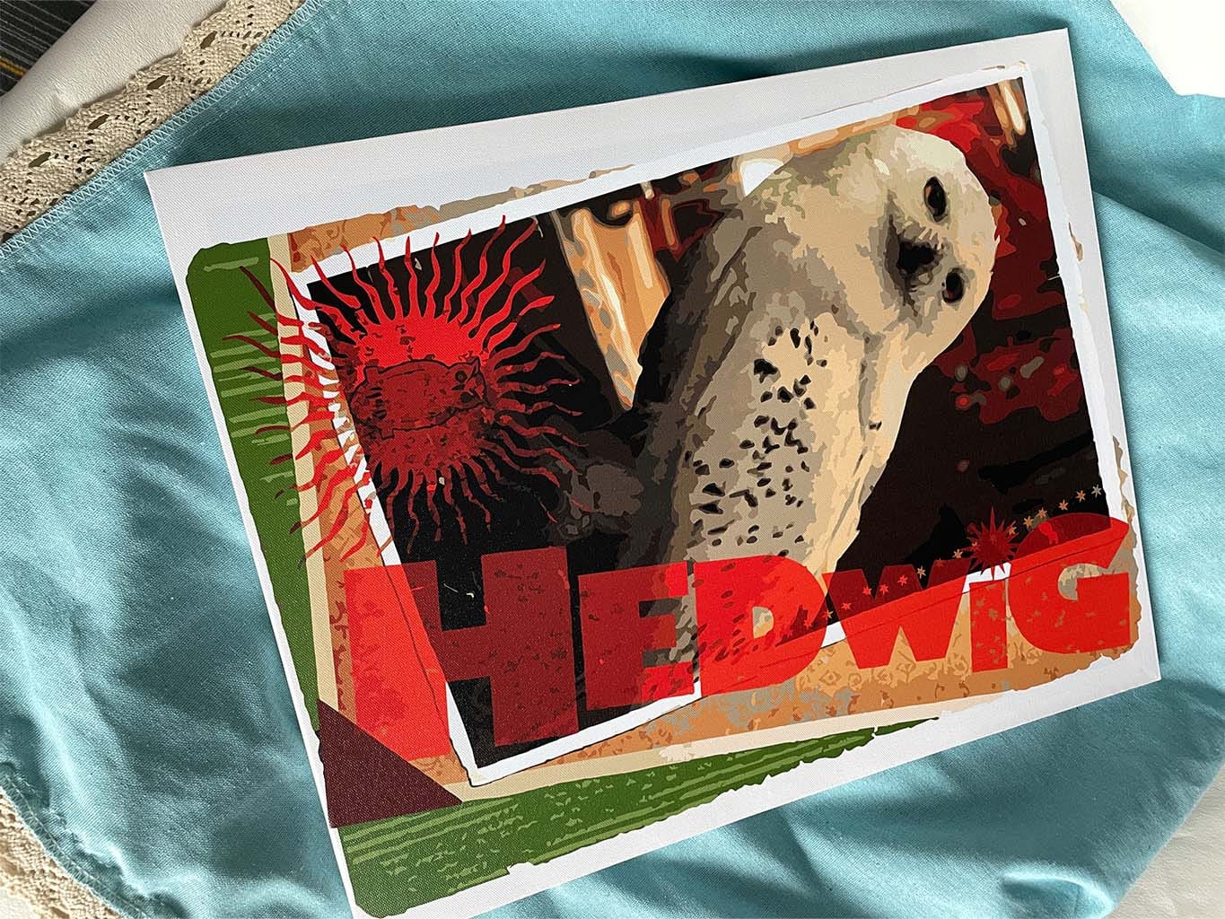 Customer photo review of Harry Potter - Carte Hedwige