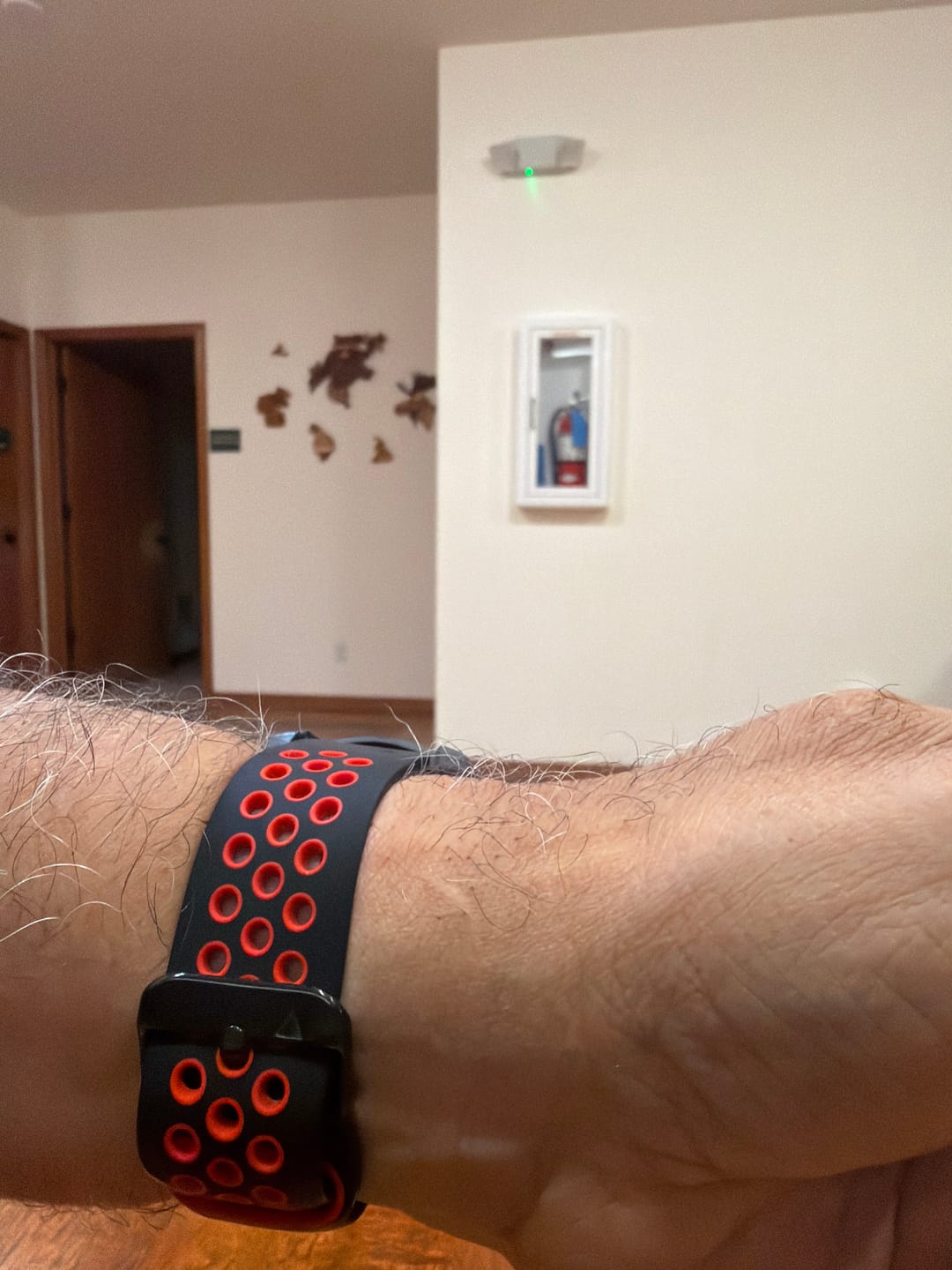 Customer photo review of Garmin Silicone Band - Breathable QuickFit Sports Strap