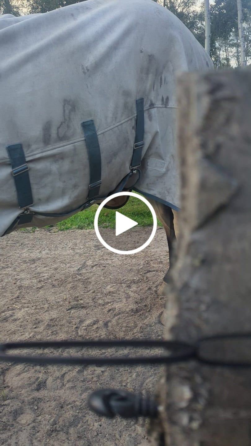 Customer video review of Feed-X - Automatischer Weidezaunöffner mit mechanischer Zeitschaltuhr