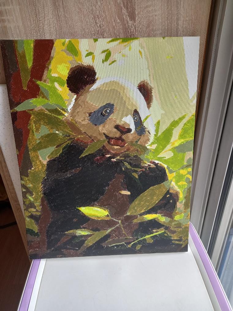 Customer photo review of Bébé Panda