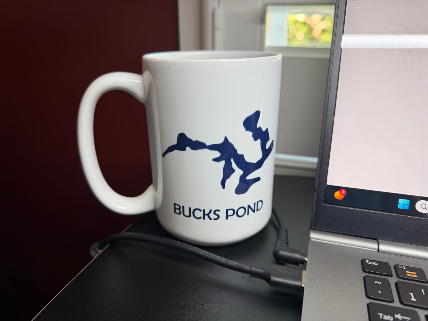 Customer photo review of Custom Lake Mug White 15oz.