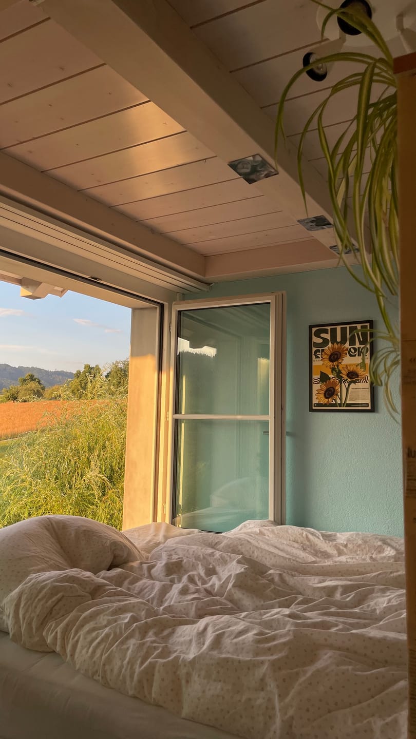 Customer photo review of SUNFLOWER 2