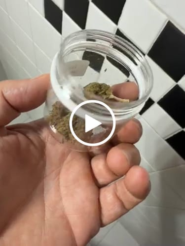 Customer video review of THC-A 34% Flower Lemonatti