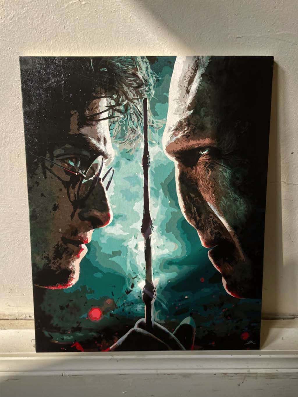 Customer photo review of Harry Potter contre Lord Voldemort