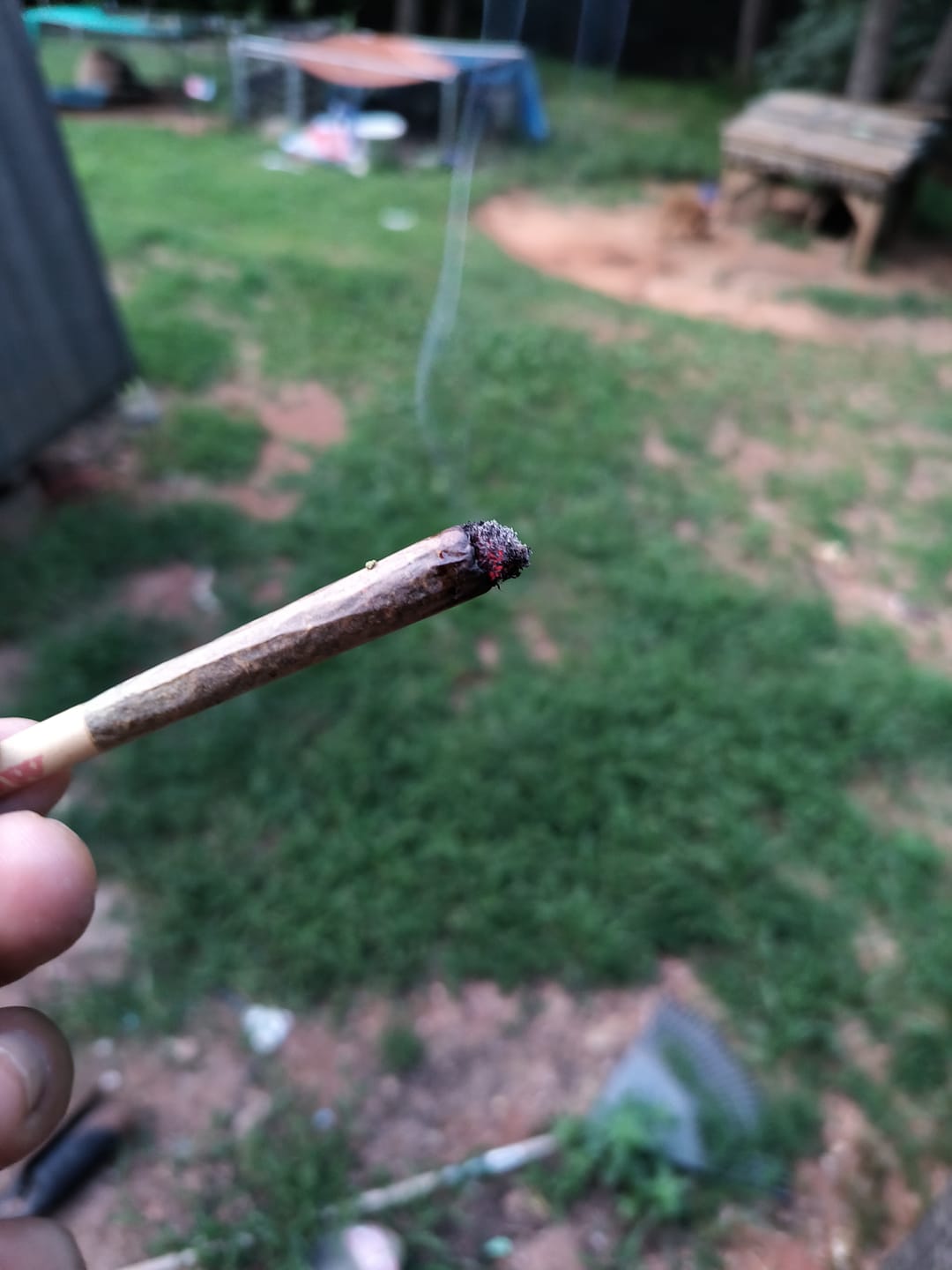 Customer photo review of THCA Pre-Roll