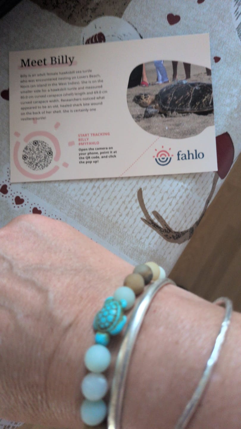 Customer photo review of The Journey Bracelet