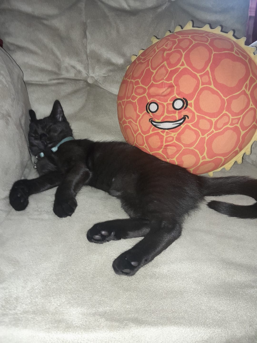 Customer photo review of The SolarBalls Sun Plush