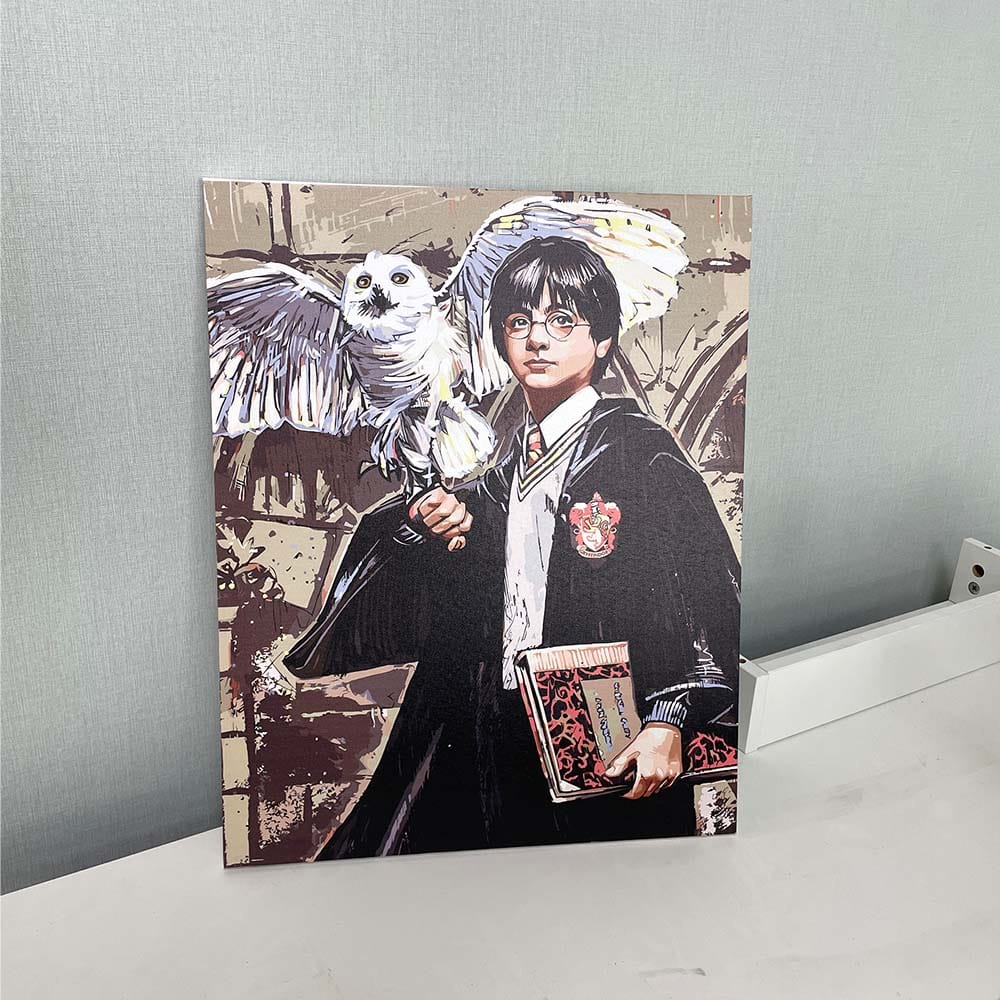 Customer photo review of Harry Potter et Hedwige