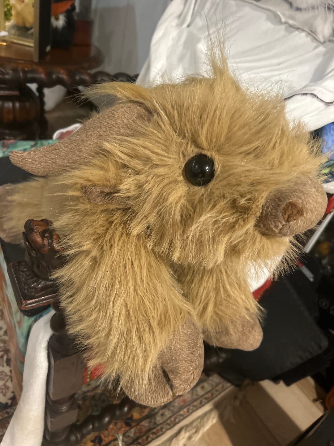 Customer photo review of Highland Cow Weighted Stuffed Animal
