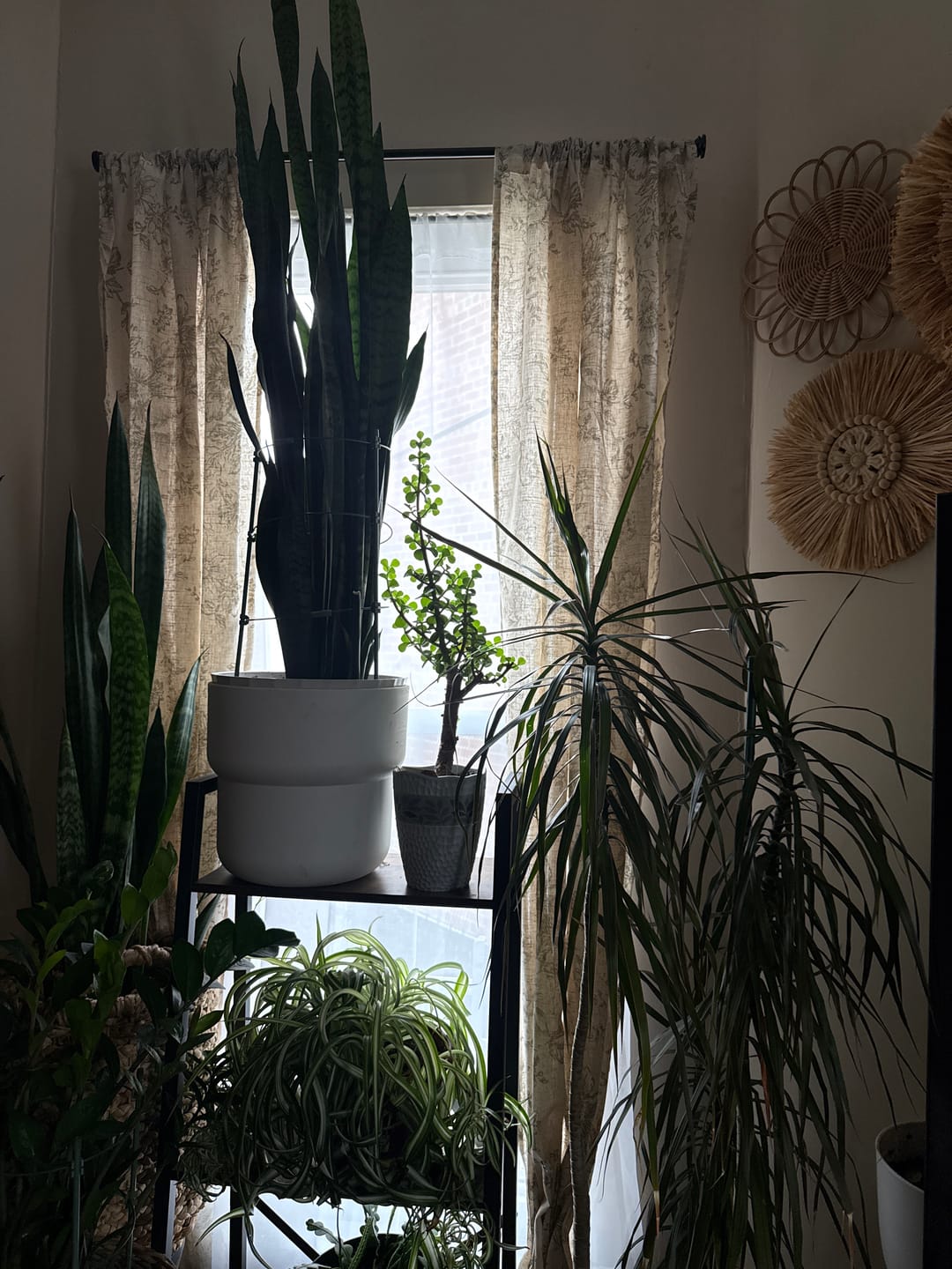 Customer photo review of Peony Print Linen Blend 3-in-1 Curtains