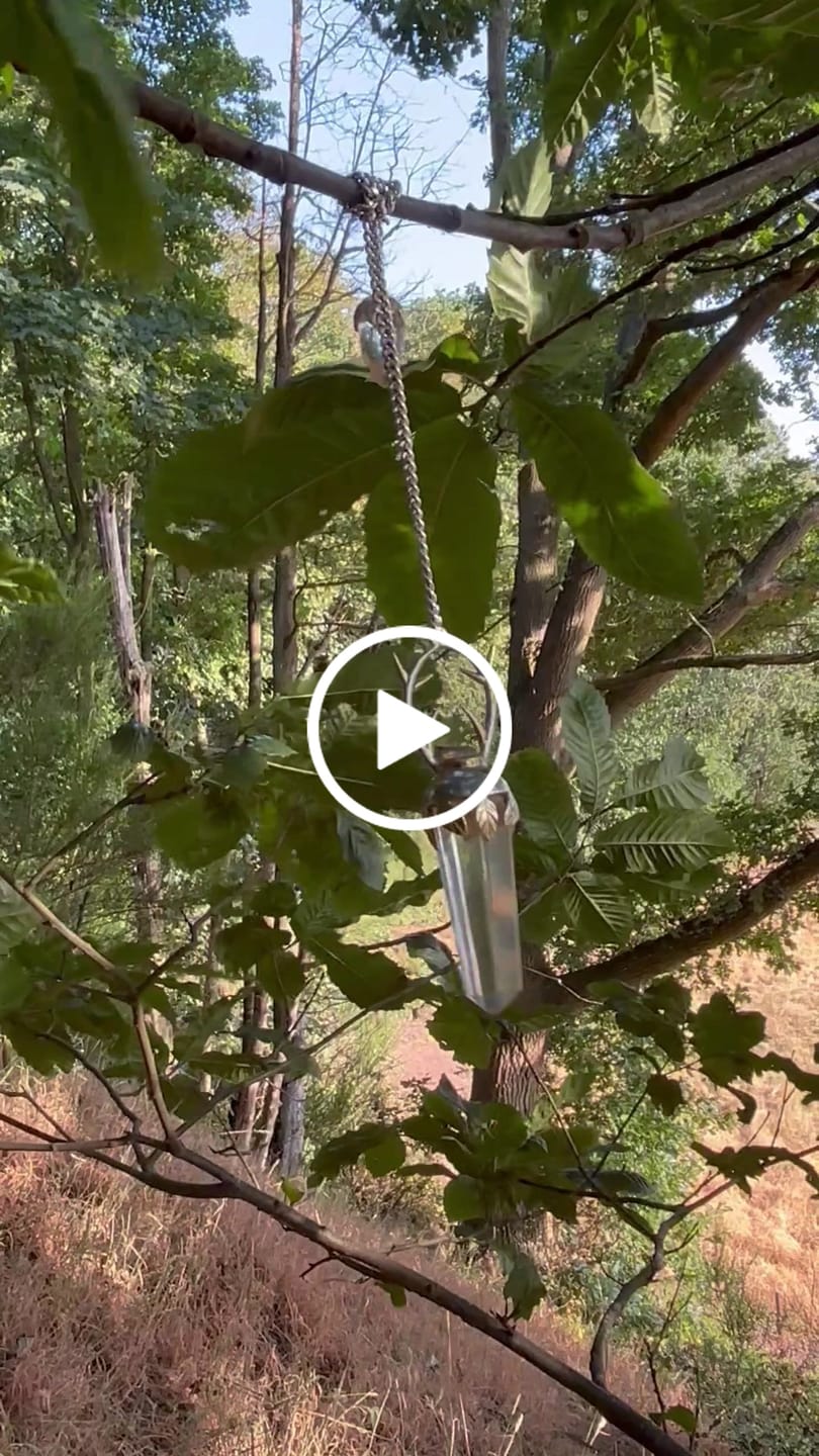 Customer video review of Wildwood Oracle Pendulum