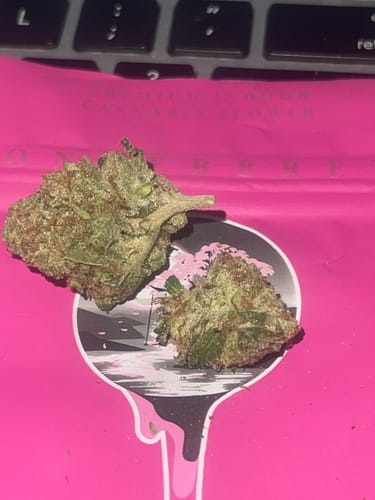 Gelato Mintz - Minis - 28 Grams - Hybrid photo review