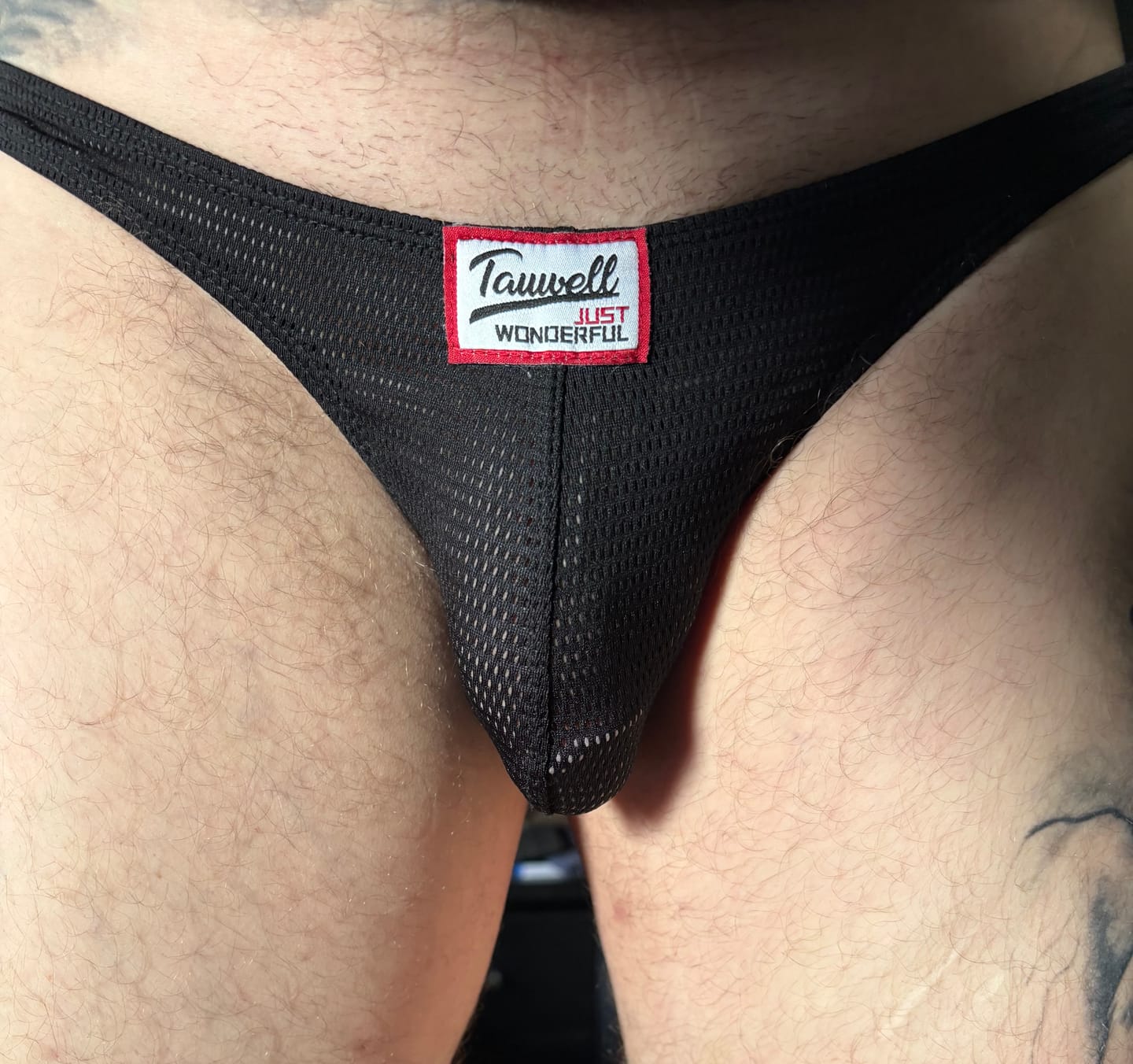 Customer photo review of 2 Pack Men's Sexy Breathable Mesh Thongs with High Stretch