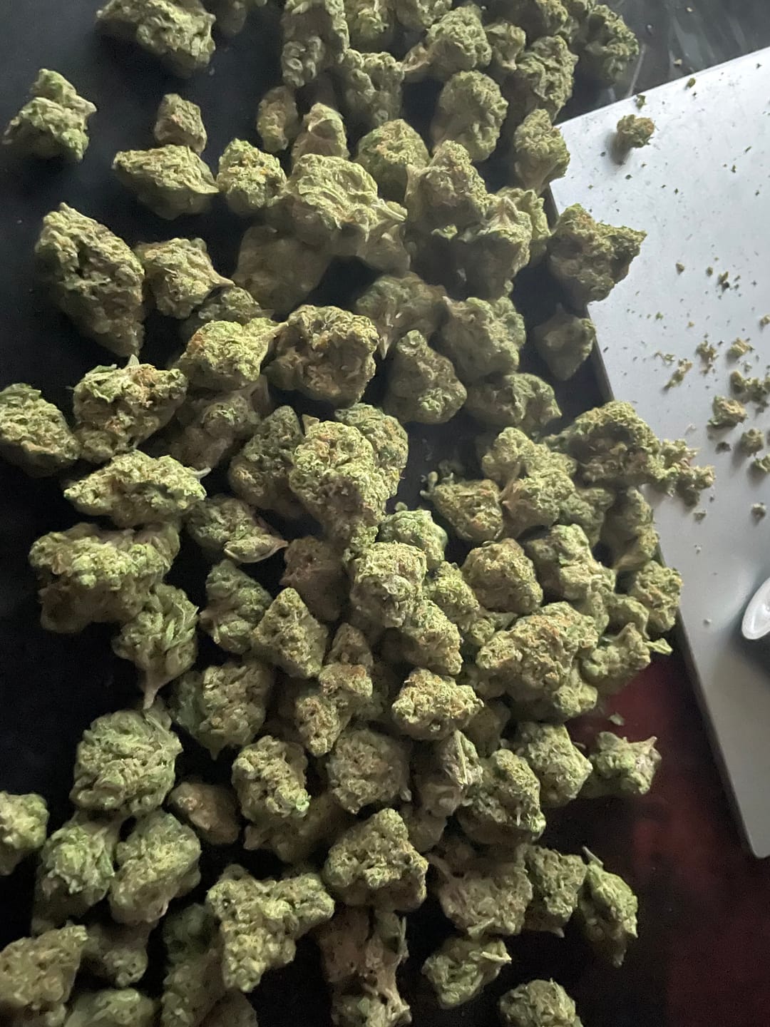 Customer photo review of PK Runtz Greenhouse THCA