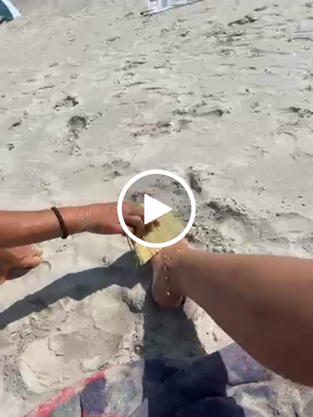 Customer video review of Brosse de plage