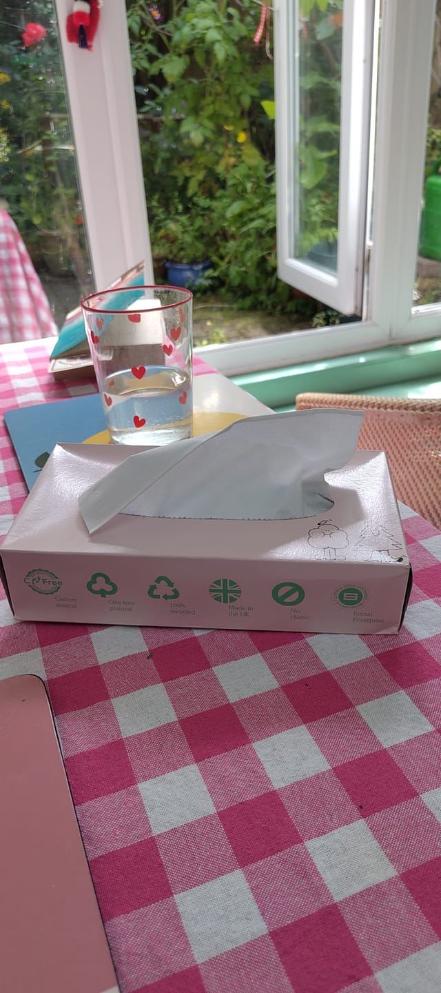 Customer photo review of 100% Recycled Facial Tissues