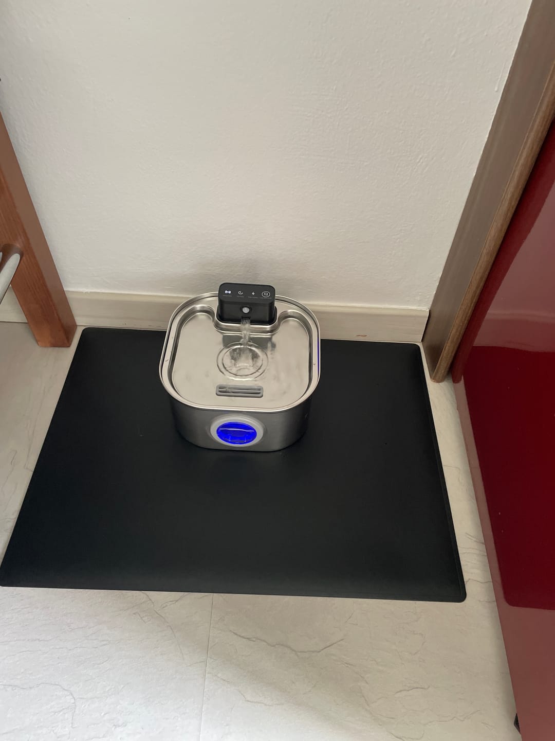 Customer photo review of PfotenBrunnen™ - Katzenwasserspender