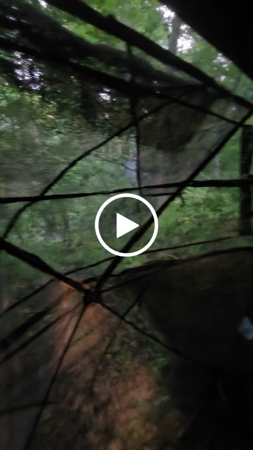 Customer video review of VisMax See Through Blind | 270° Pop Up 3-4 Man Deer Blind | Portable Ground Blind Hunting for Sale with Hunters Comfort Design