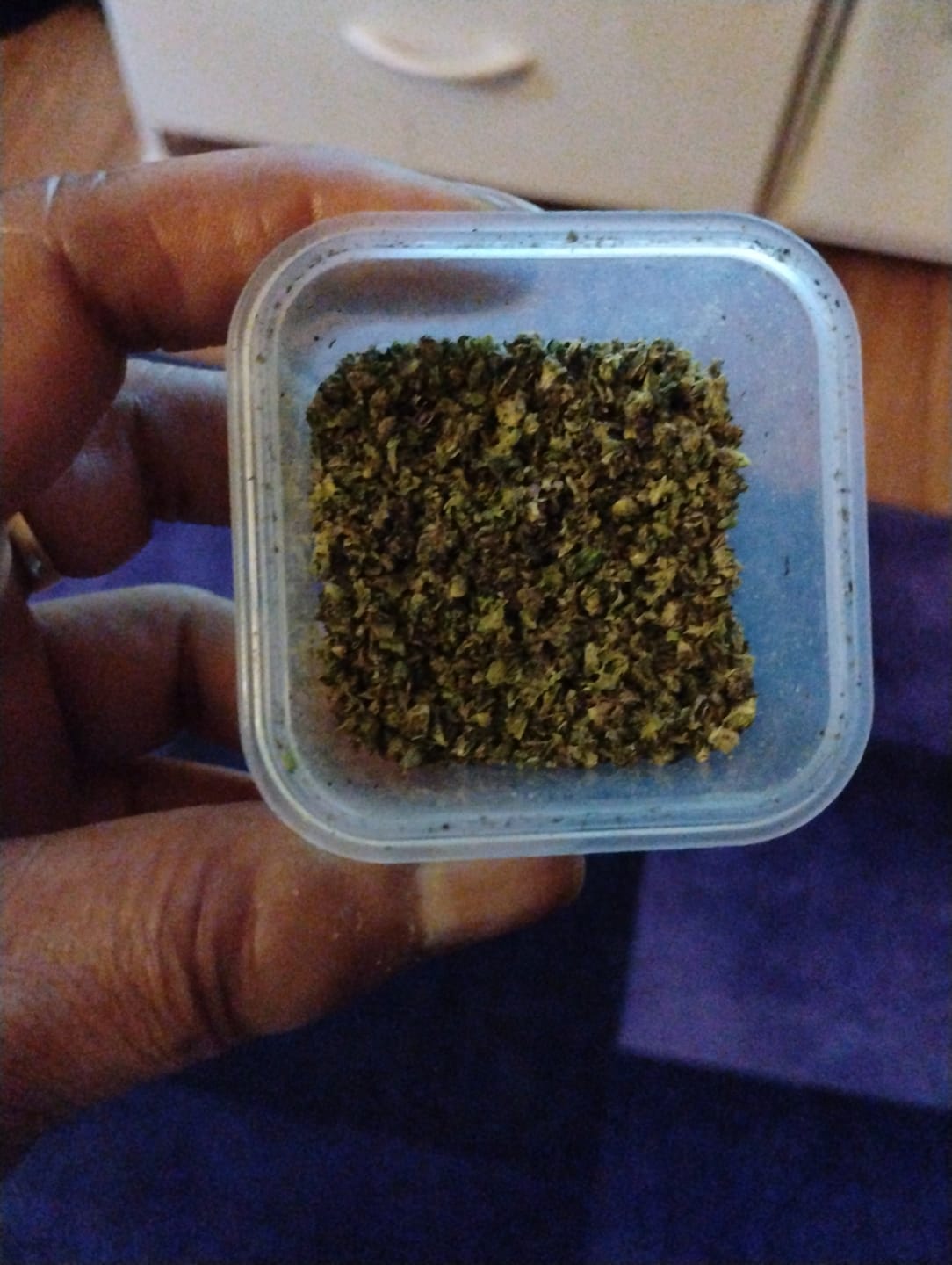 Customer photo review of Apple Rock Candy - Hybrid