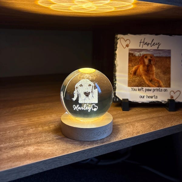 Customer photo review of Personalized Pet Portrait Crystal Ball Night Light