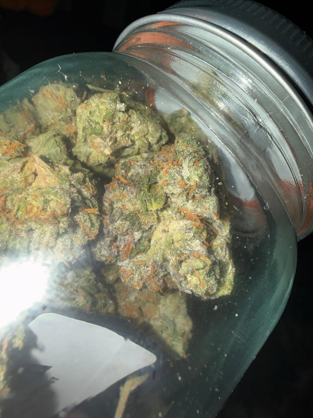 Customer photo review of Headband THCA Flower (Exotic)