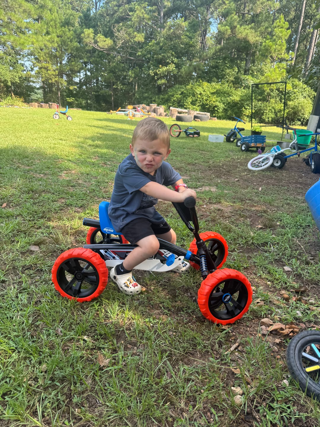 Customer photo review of BERG Buzzy