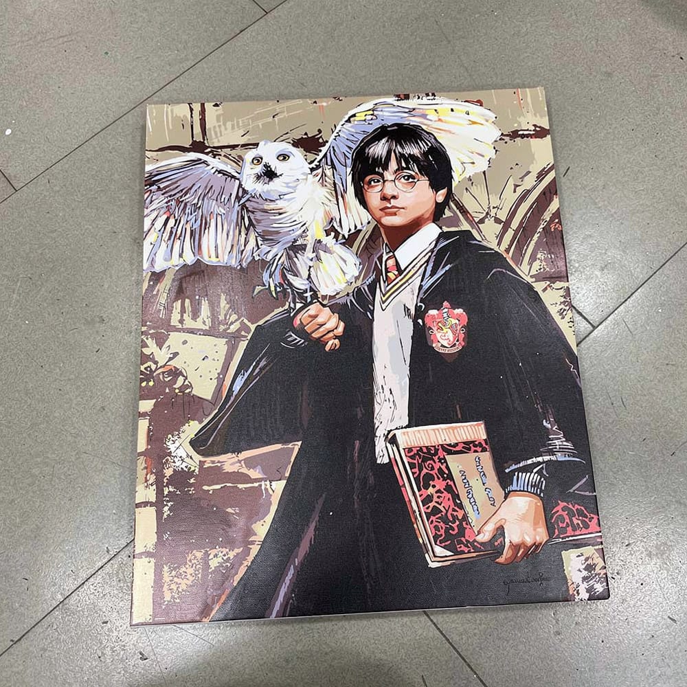 Customer photo review of Harry Potter et Hedwige