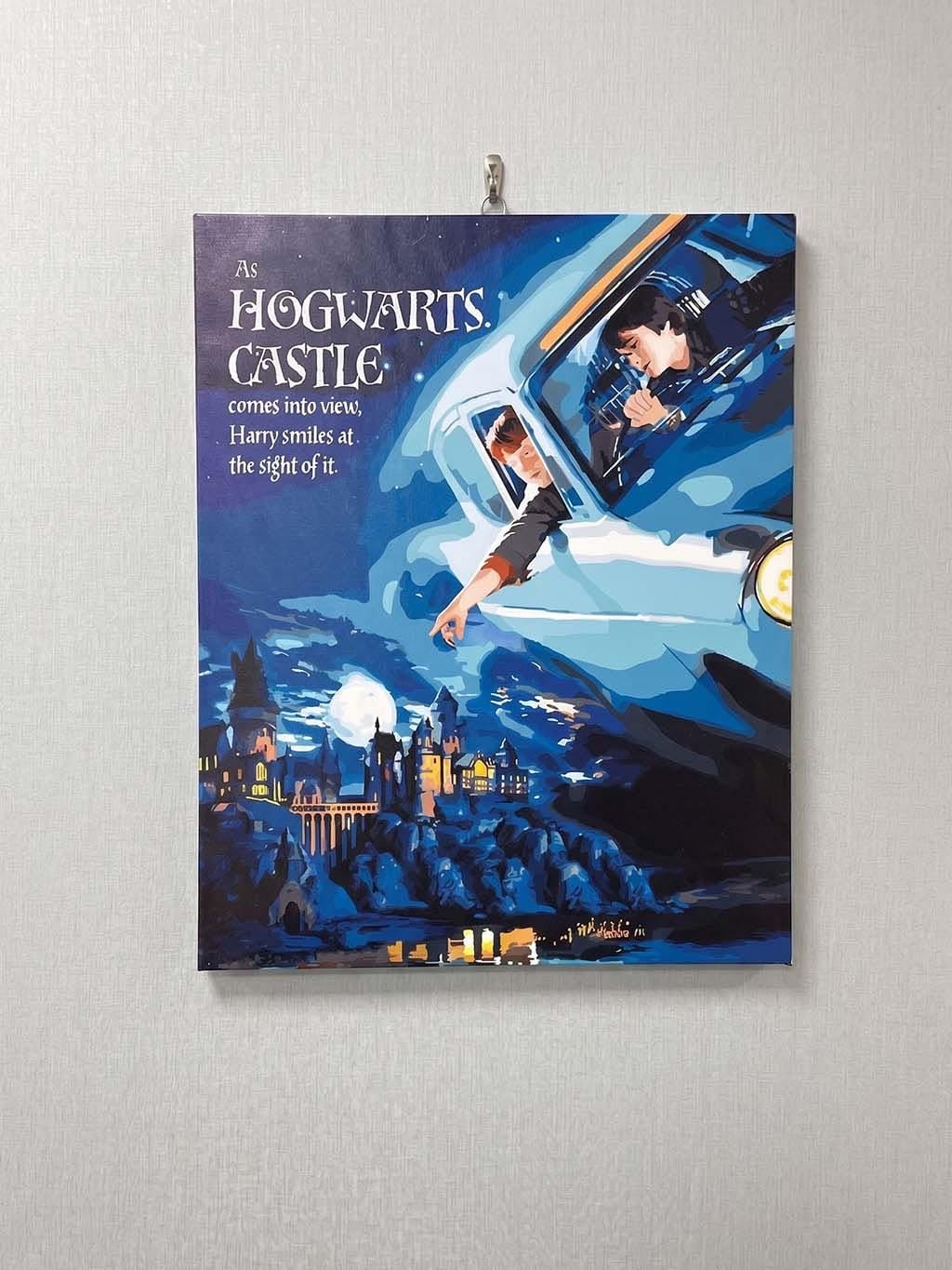 Customer photo review of Harry Potter - Vol de l'Anglia vers Poudlard