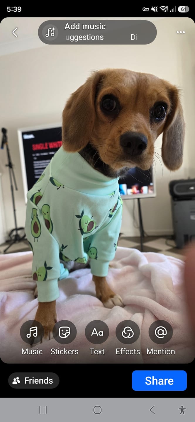 Customer photo review of Dog Pajama - Avocado