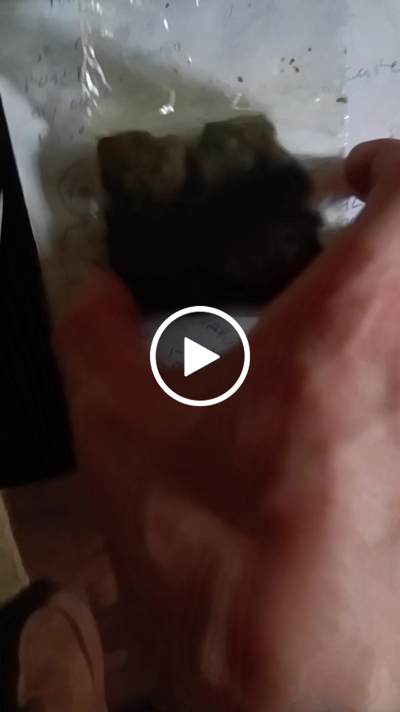 Customer video review of Premium THCa Hash Bar