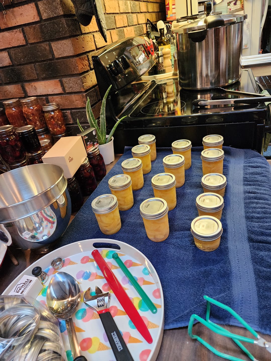 Customer photo review of THE TANKER™ 23 Quart Pressure Canner & Cooker by Denali