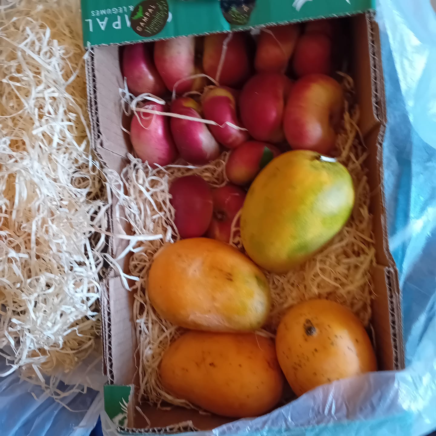 Customer photo review of Weinberg-Nektarinen Platerinos Bio 2kg Box