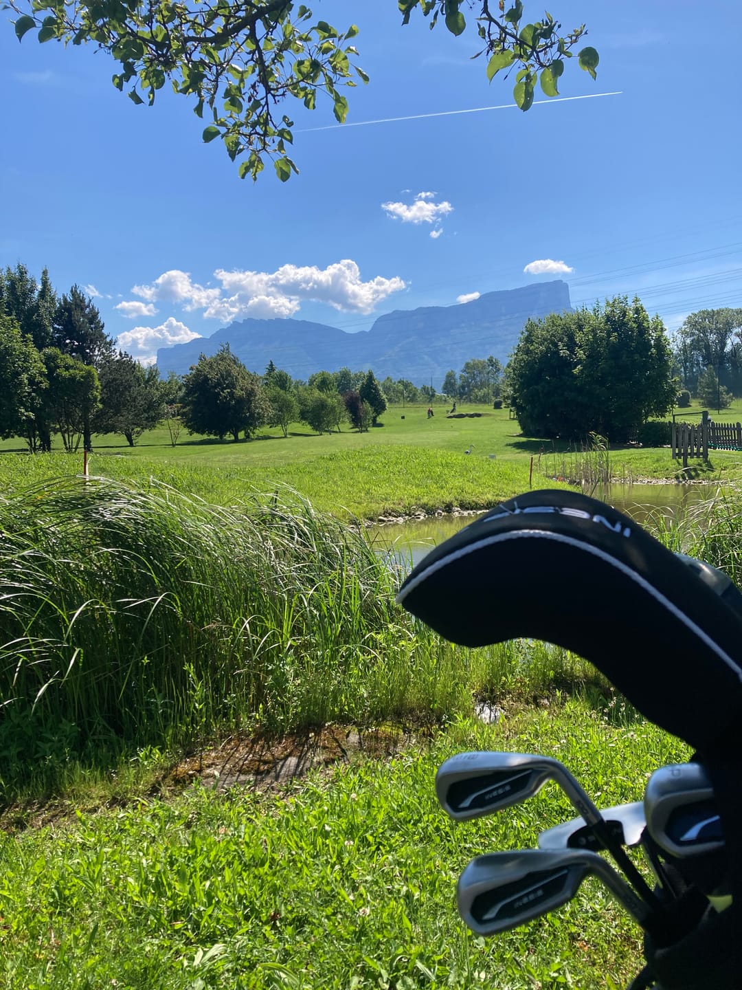 Customer photo review of Callaway - Truvis Chrome Soft
