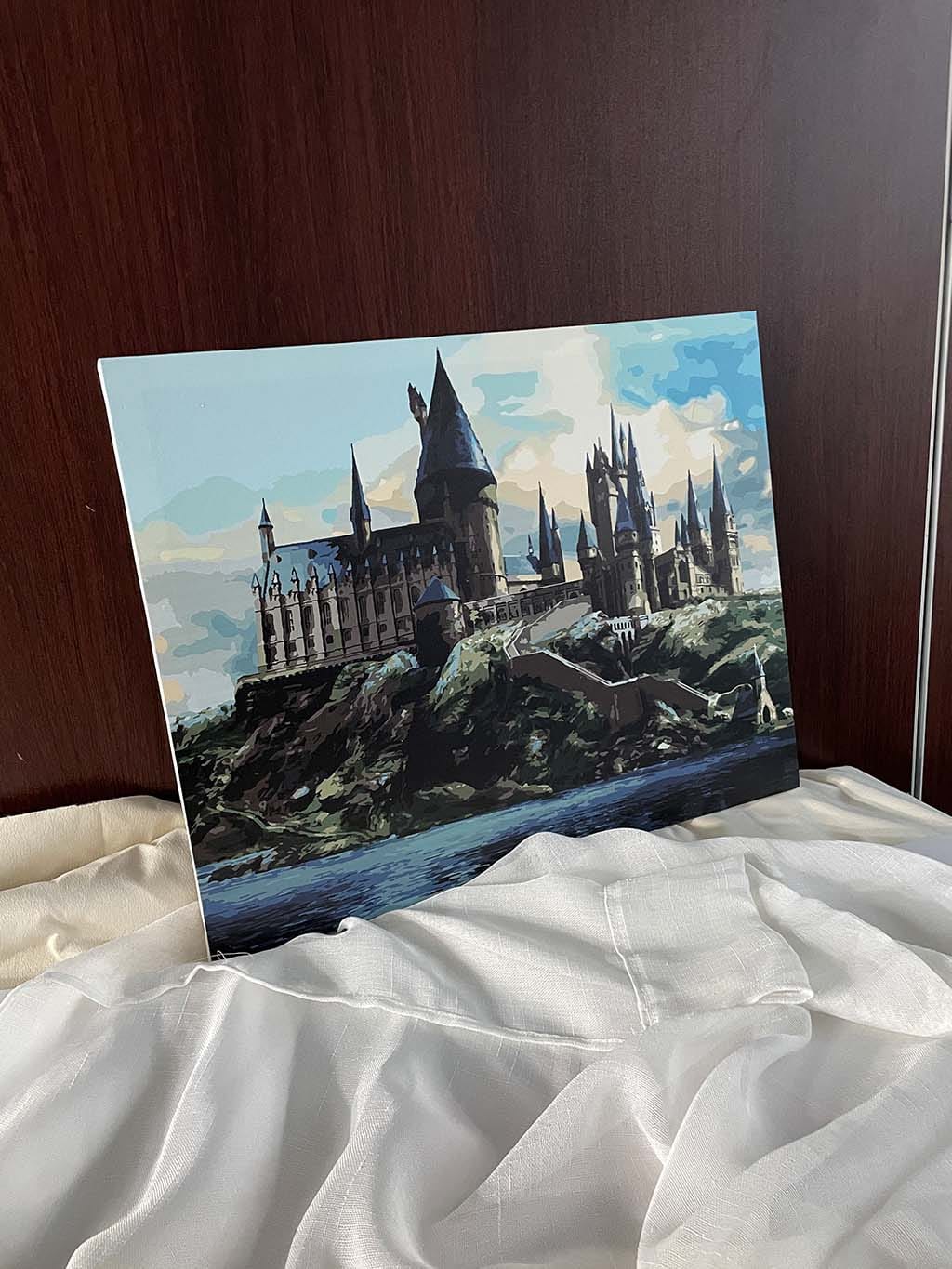 Customer photo review of Harry Potter - Château de Poudlard