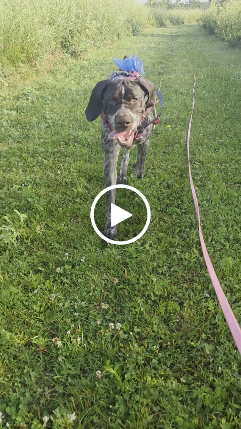 Customer video review of Auto Locking Carabiner Upgrade