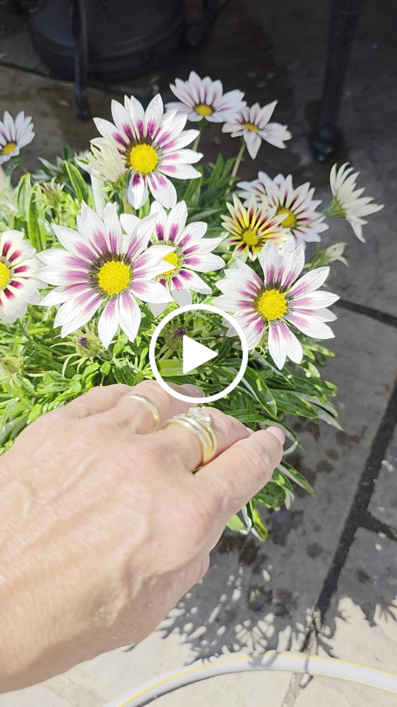 Customer video review of Single Beaded Bracelet