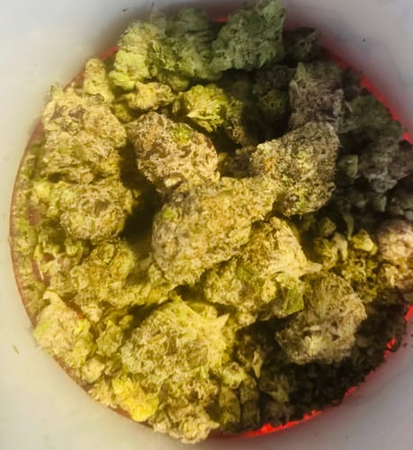 Blueberry Lemon Bars - 14 Grams - Hybrid photo review